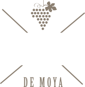Tibo www 2